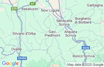 Map of Gavi